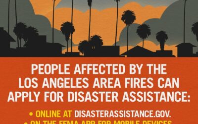 California Wildfires: Government Assistance